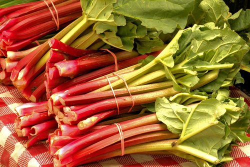 market fresh rhubarb  vegetables  food
