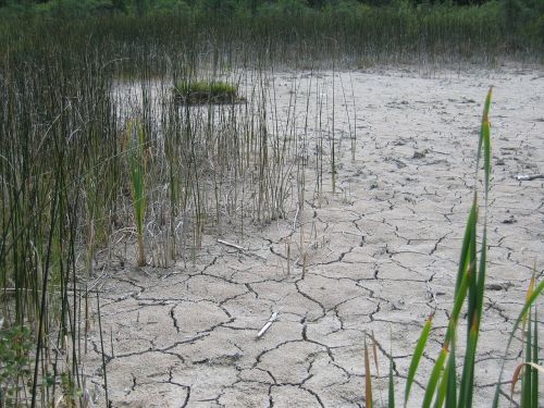 marl dry pond