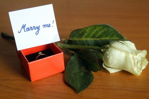 marry me engagement ring rose