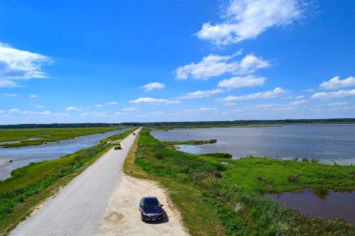 marsh roadway water