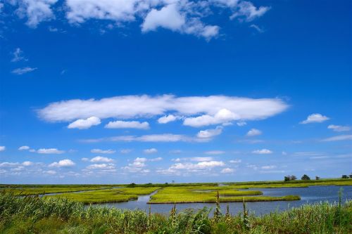 marsh water sky