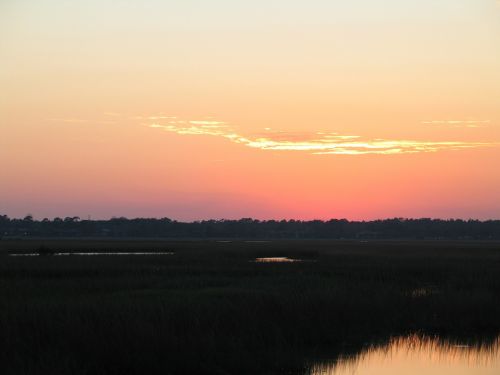marsh sunset nature