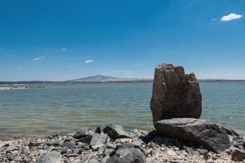 marsh sea rock