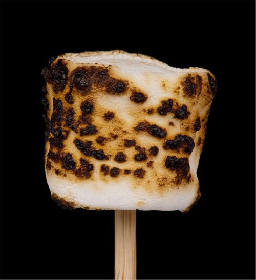 marshmallow roasted toasted