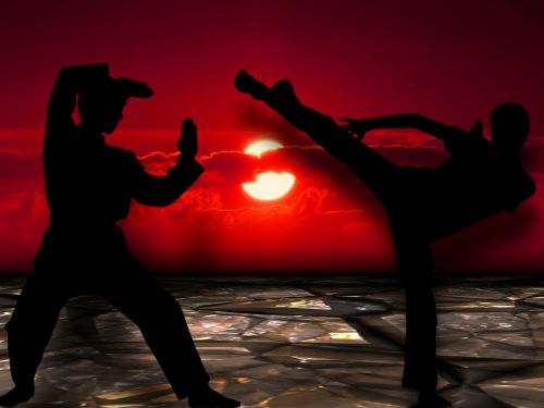 martial arts silhuetten muay thai