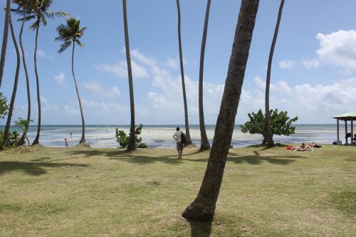 martinique beach ocean