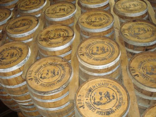 martinique rhumerie wooden barrels