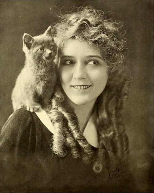 mary pickford actress motion pictures