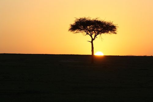 masai mara kenya sunset