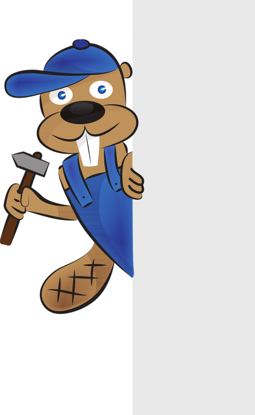 mascot beaver construction