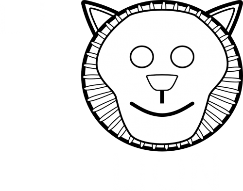 mask lion child