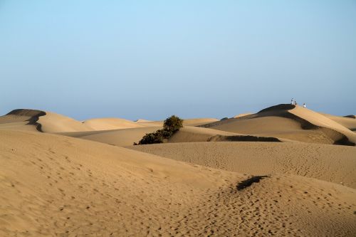 maspalomas dunes sand dunes