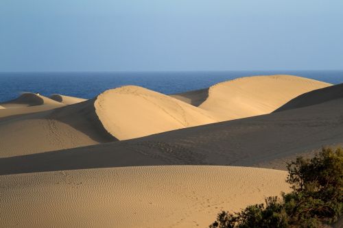 maspalomas dunes sand dunes