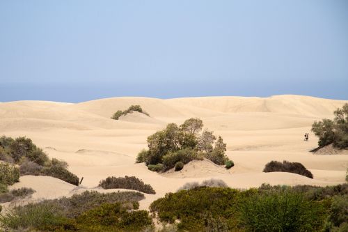 maspalomas dunes sand dunes