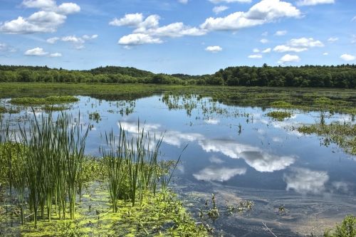 massachusetts nature outside