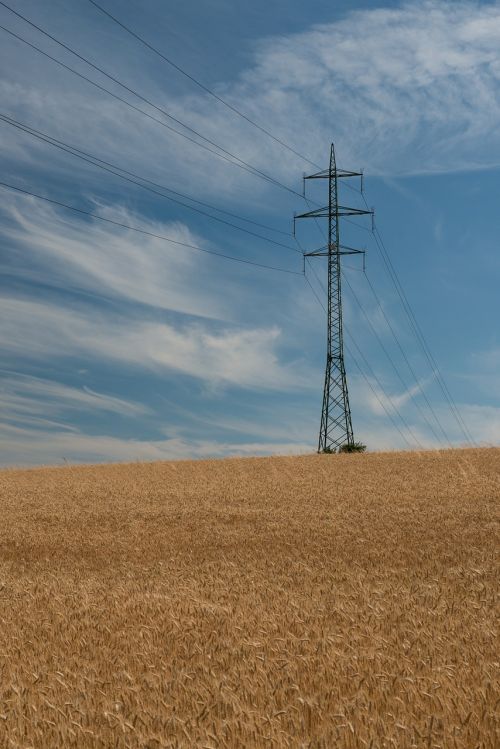 mast electric mast the wires