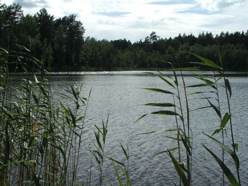 masuria nature lake