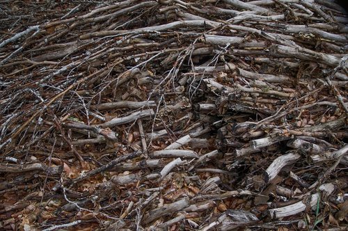material  wood  branches