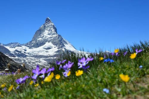 matterhorn alpine zermatt