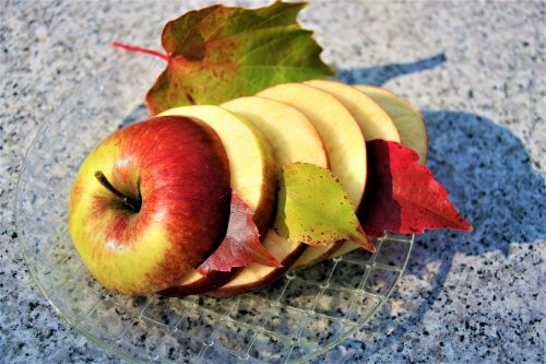mature foliage apple
