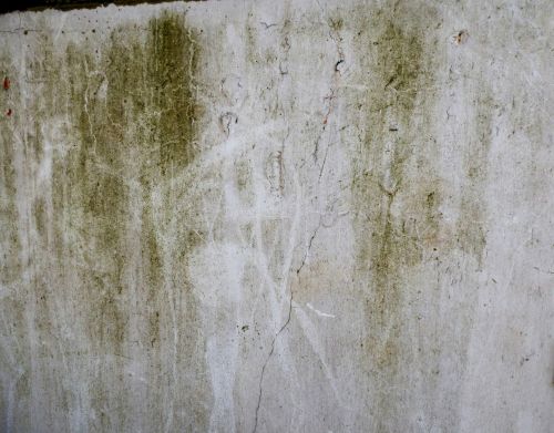 Wall Texture