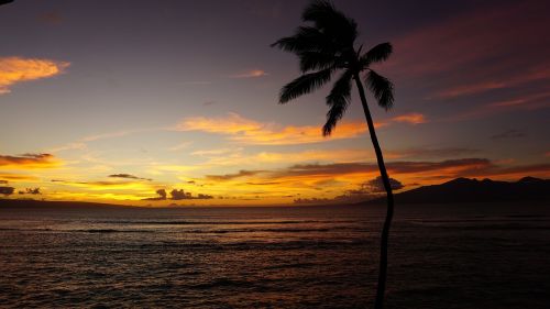 maui sunset hawaii