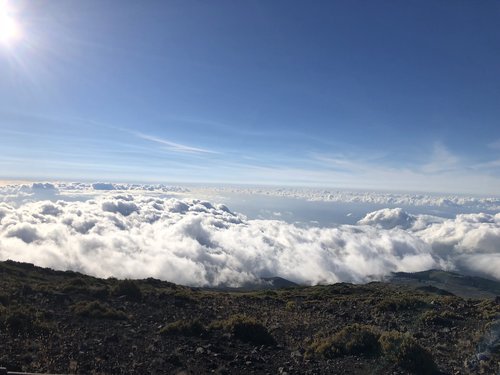 maui  hawaii  sunset