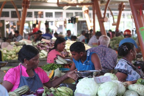 mauritius  market  exotic