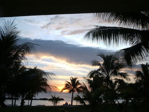 mauritius sunset palm trees