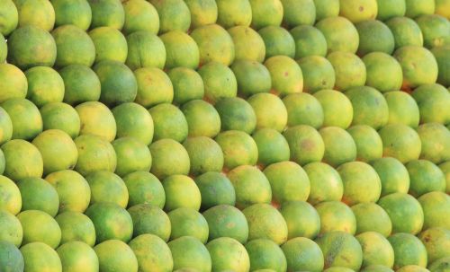 mausami sweet lemon fruit