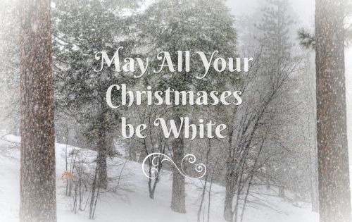 May All Your Christmases Be White
