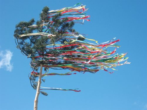 maypole celebration tree