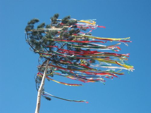 maypole celebration tree