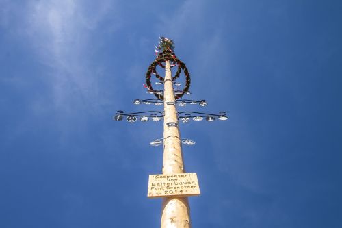 maypole tree tradition