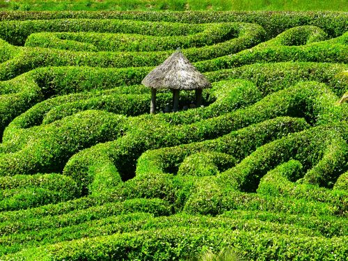 maze labyrinth glendurgan