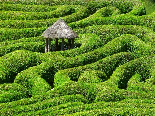 maze labyrinth glendurgan