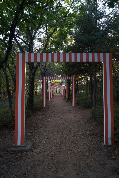 maze in the forest gimpo sculpture park