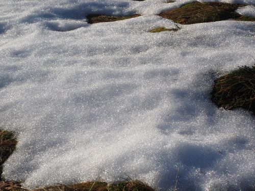 meadow snow snow melt