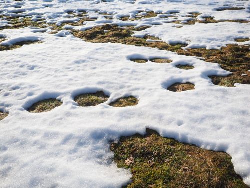 meadow snow snow melt