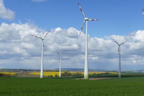 meadow oilseed rape wind turbine