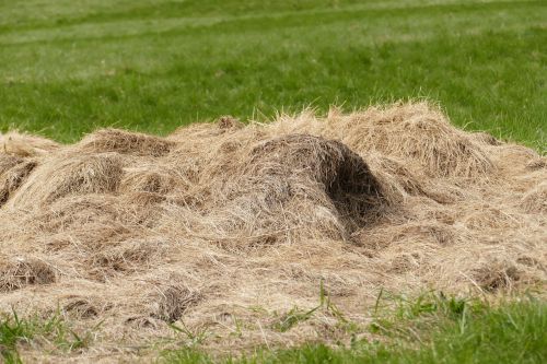 haystack meadow hay