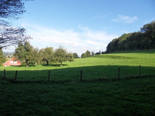 meadow sun with clouds