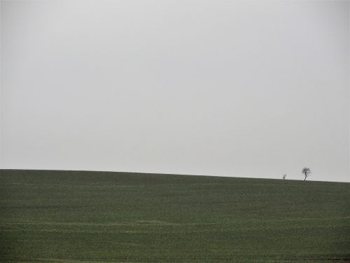 meadow horizon landscape
