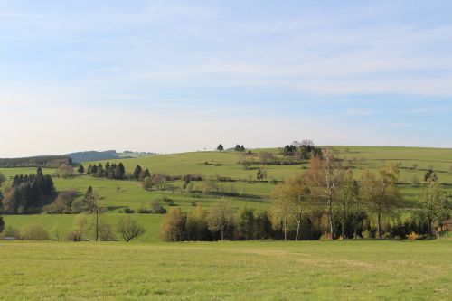 meadow sky nature