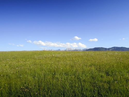 meadow mountains nature