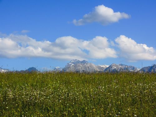 meadow mountains landscape