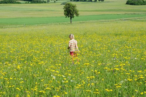 meadow flowers girl