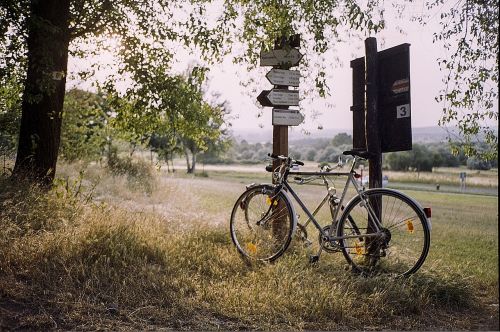 meadow sign vintage