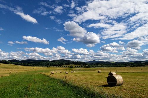 meadow field heaven