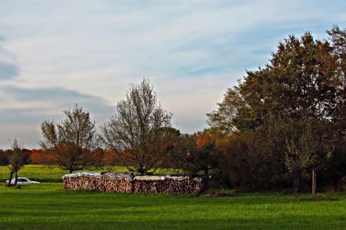 meadow field landscape